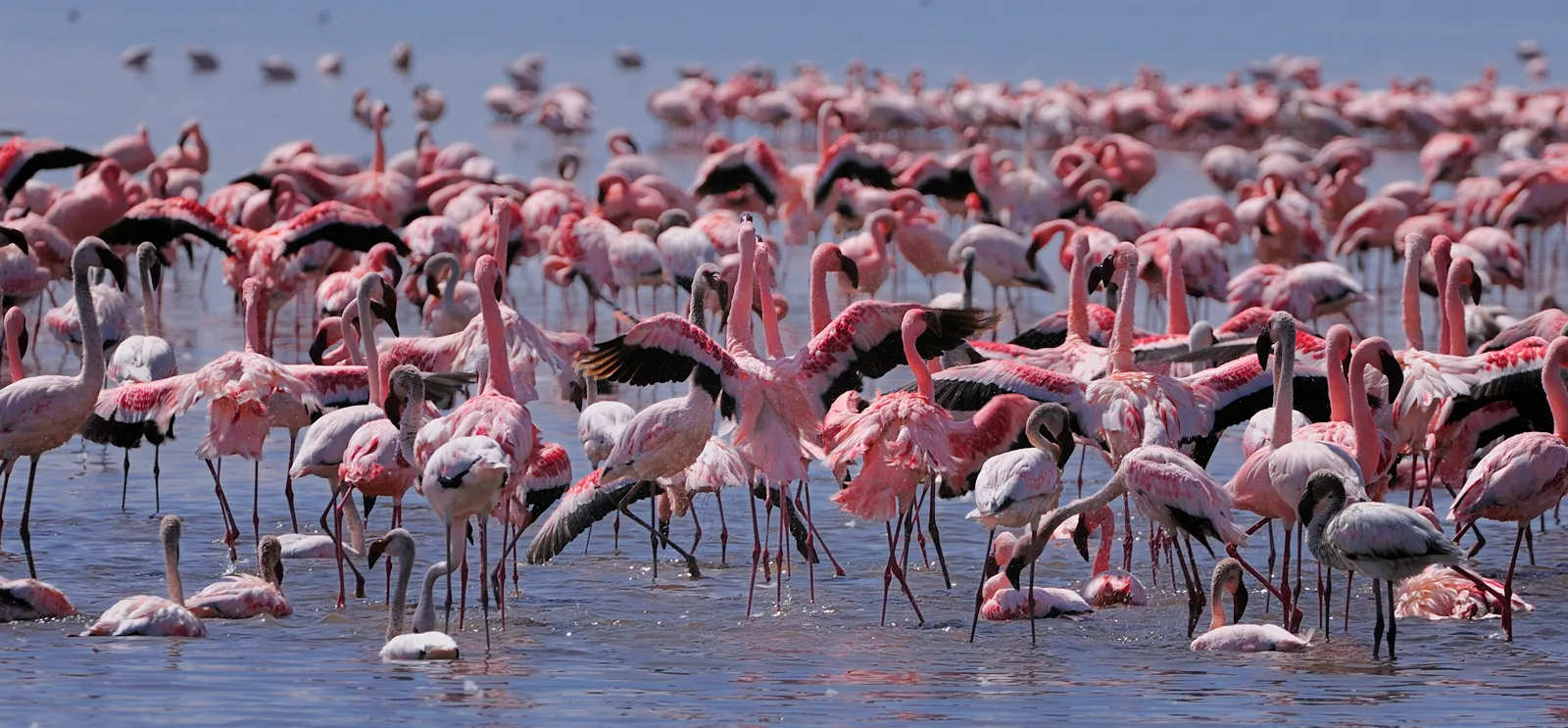 Nakuru